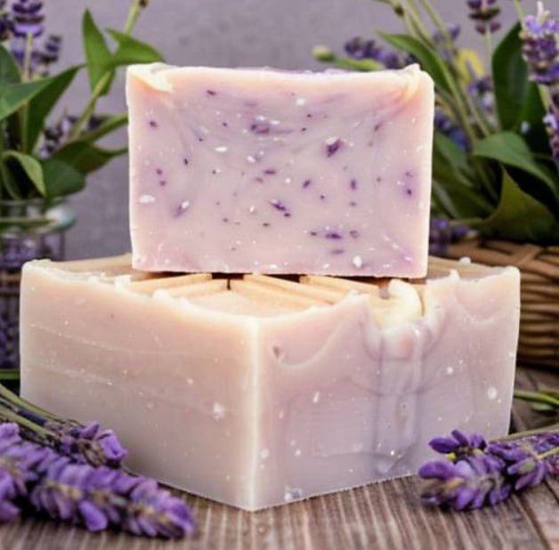 photo_2025-06-24_14-06-41