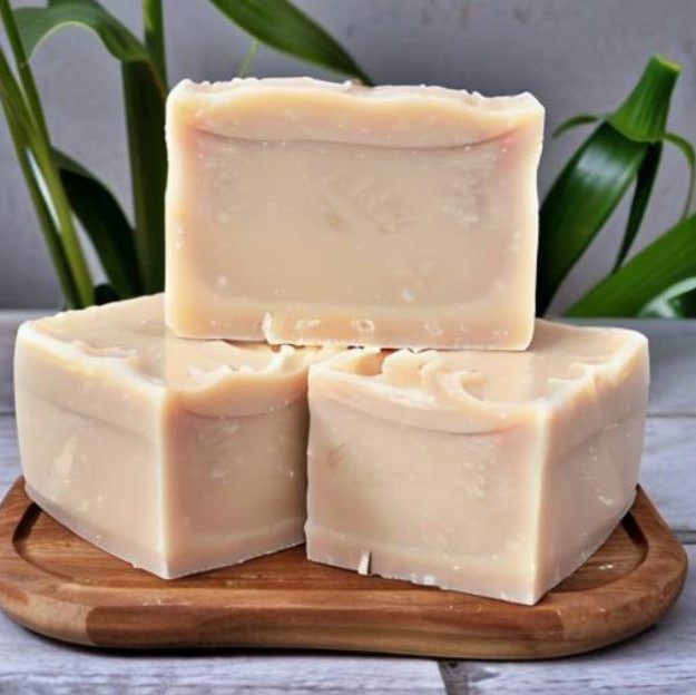 photo_2025-06-24_13-51-47