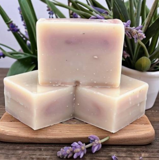 photo_2025-06-24_13-57-46