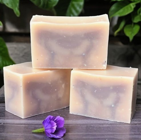 photo_2025-06-24_14-40-19