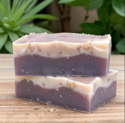 photo_2025-06-24_14-59-30