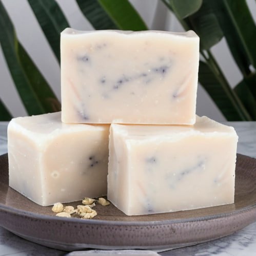 photo_2025-06-24_15-15-49